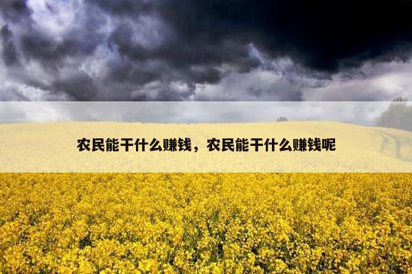 农民能干什么赚钱，农民能干什么赚钱呢