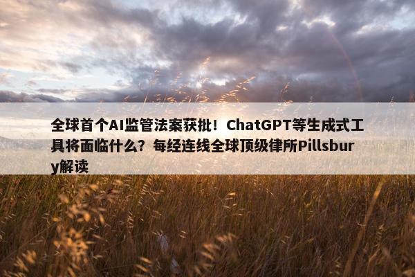 全球首个AI监管法案获批！ChatGPT等生成式工具将面临什么？每经连线全球顶级律所Pillsbury解读