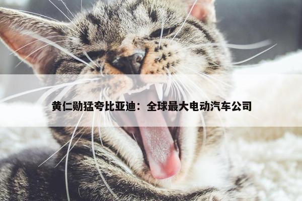 黄仁勋猛夸比亚迪：全球最大电动汽车公司