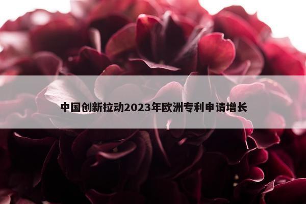 中国创新拉动2023年欧洲专利申请增长