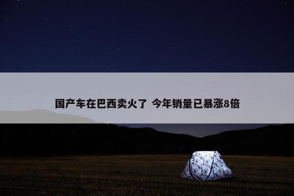 国产车在巴西卖火了 今年销量已暴涨8倍