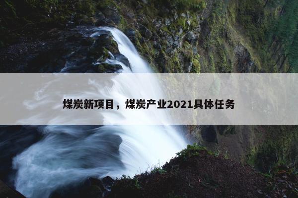 煤炭新项目，煤炭产业2021具体任务