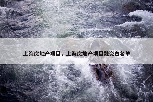 上海房地产项目，上海房地产项目融资白名单