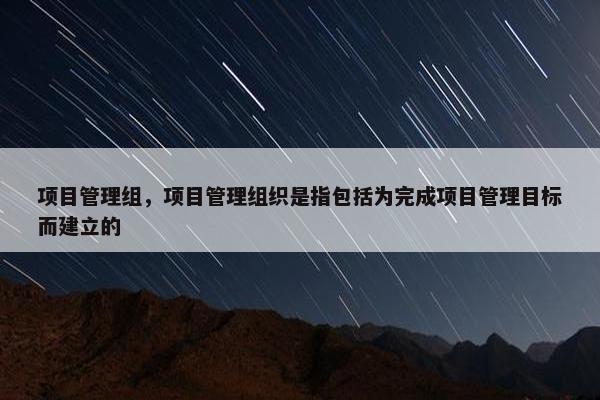 项目管理组，项目管理组织是指包括为完成项目管理目标而建立的