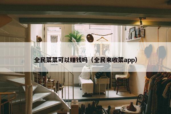 全民菜菜可以赚钱吗（全民来收菜app）