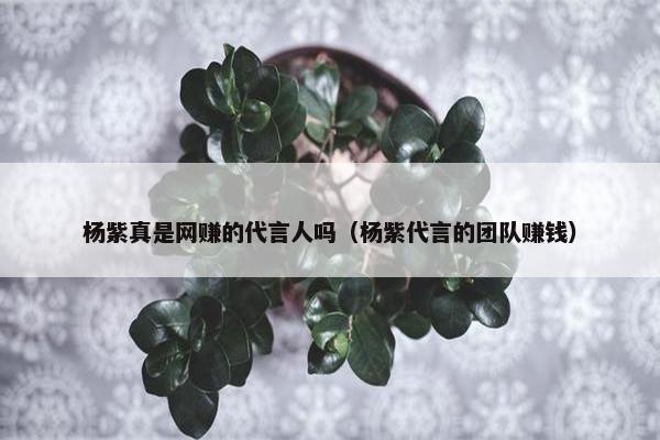 杨紫真是网赚的代言人吗（杨紫代言的团队赚钱）