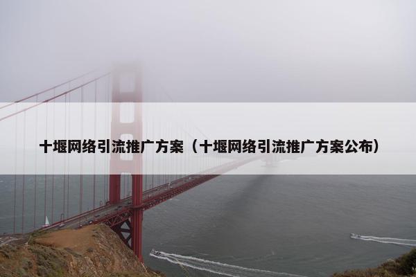 十堰网络引流推广方案（十堰网络引流推广方案公布）