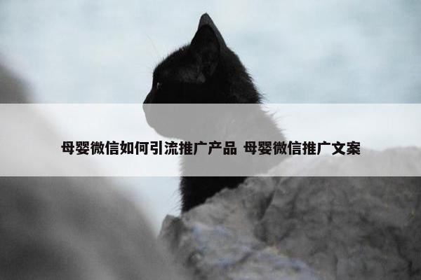 母婴微信如何引流推广产品 母婴微信推广文案