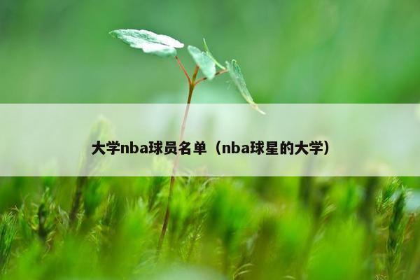 大学nba球员名单（nba球星的大学）