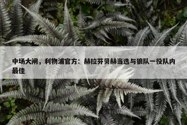 中场大闸，利物浦官方：赫拉芬贝赫当选与狼队一役队内最佳