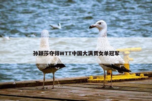 孙颖莎夺得WTT中国大满贯女单冠军