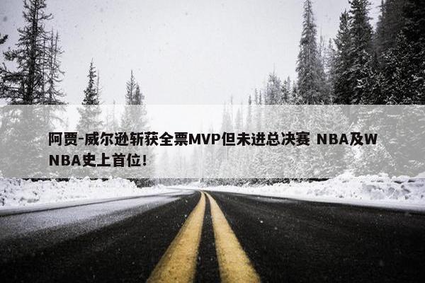 阿贾-威尔逊斩获全票MVP但未进总决赛 NBA及WNBA史上首位！