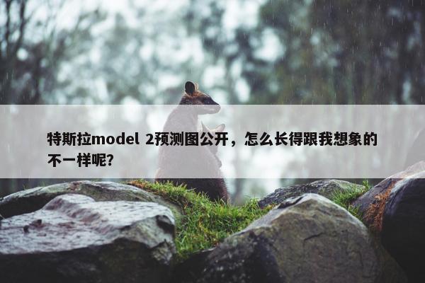 特斯拉model 2预测图公开，怎么长得跟我想象的不一样呢？