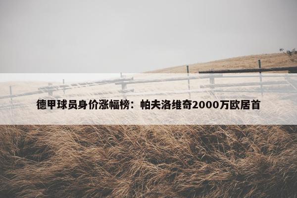 德甲球员身价涨幅榜：帕夫洛维奇2000万欧居首