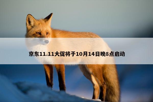 京东11.11大促将于10月14日晚8点启动