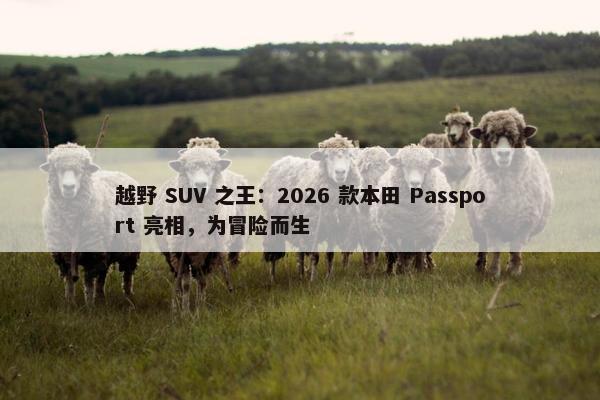 越野 SUV 之王：2026 款本田 Passport 亮相，为冒险而生