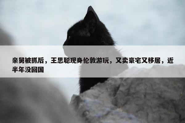 亲舅被抓后，王思聪现身伦敦游玩，又卖豪宅又移居，近半年没回国