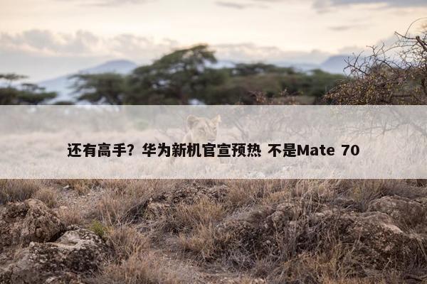 还有高手？华为新机官宣预热 不是Mate 70