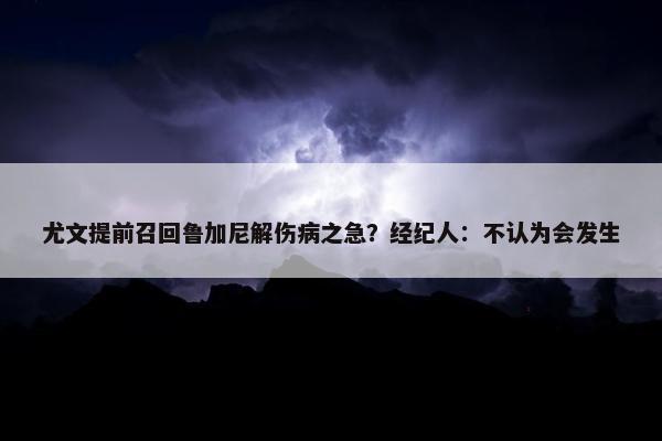 尤文提前召回鲁加尼解伤病之急？经纪人：不认为会发生