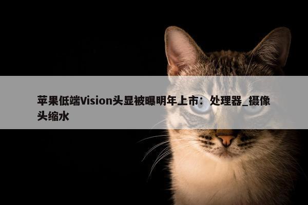 苹果低端Vision头显被曝明年上市：处理器_摄像头缩水