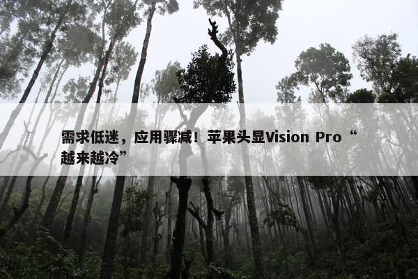 需求低迷，应用骤减！苹果头显Vision Pro“越来越冷”