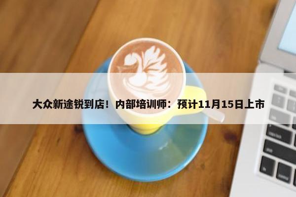 大众新途锐到店！内部培训师：预计11月15日上市