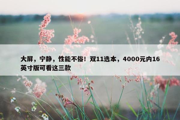 大屏，宁静，性能不俗！双11选本，4000元内16英寸版可看这三款