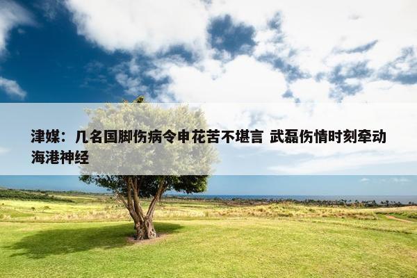 津媒：几名国脚伤病令申花苦不堪言 武磊伤情时刻牵动海港神经