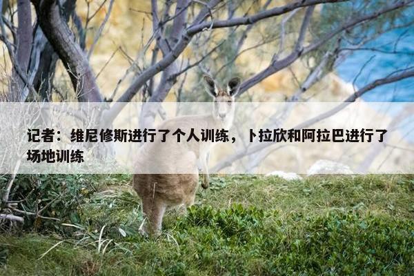 记者：维尼修斯进行了个人训练，卜拉欣和阿拉巴进行了场地训练