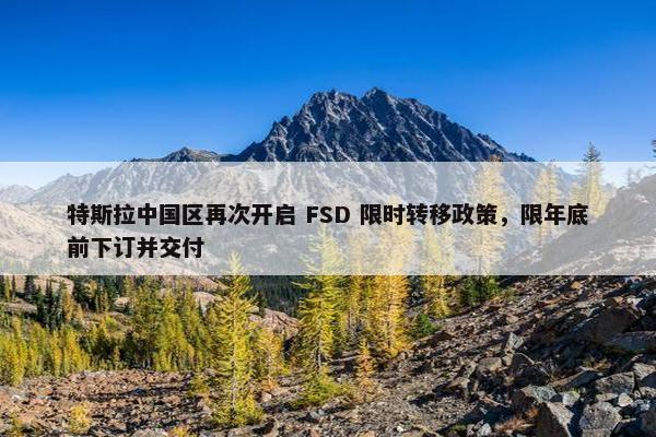 特斯拉中国区再次开启 FSD 限时转移政策，限年底前下订并交付