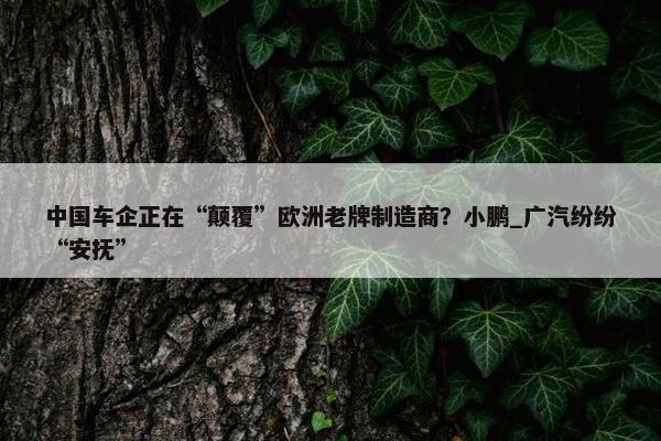 中国车企正在“颠覆”欧洲老牌制造商？小鹏_广汽纷纷“安抚”