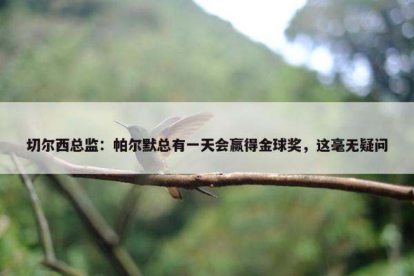 切尔西总监：帕尔默总有一天会赢得金球奖，这毫无疑问