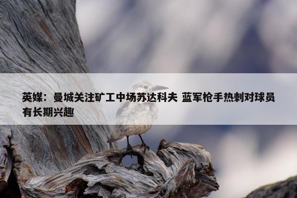 英媒：曼城关注矿工中场苏达科夫 蓝军枪手热刺对球员有长期兴趣